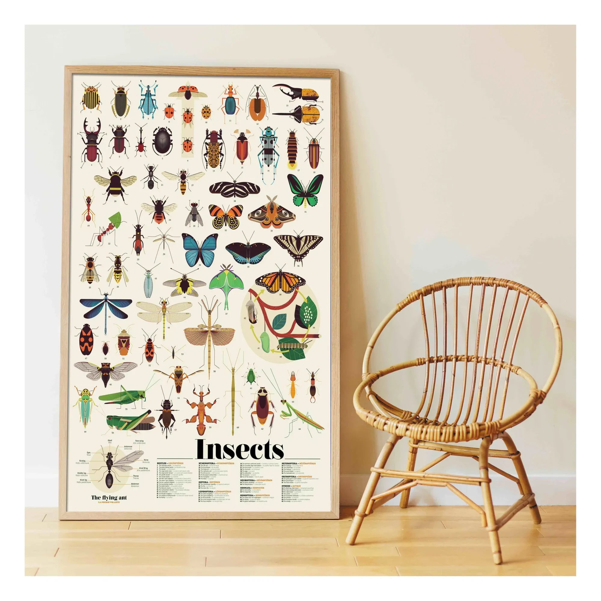 Poppik - Póster de pegatinas de insectos