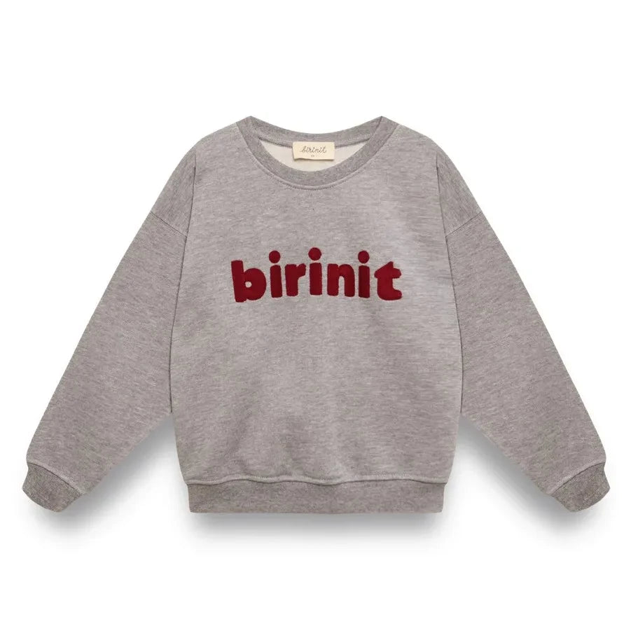 birinit - Sudadera Birinit Algodón Orgánico | Gris
