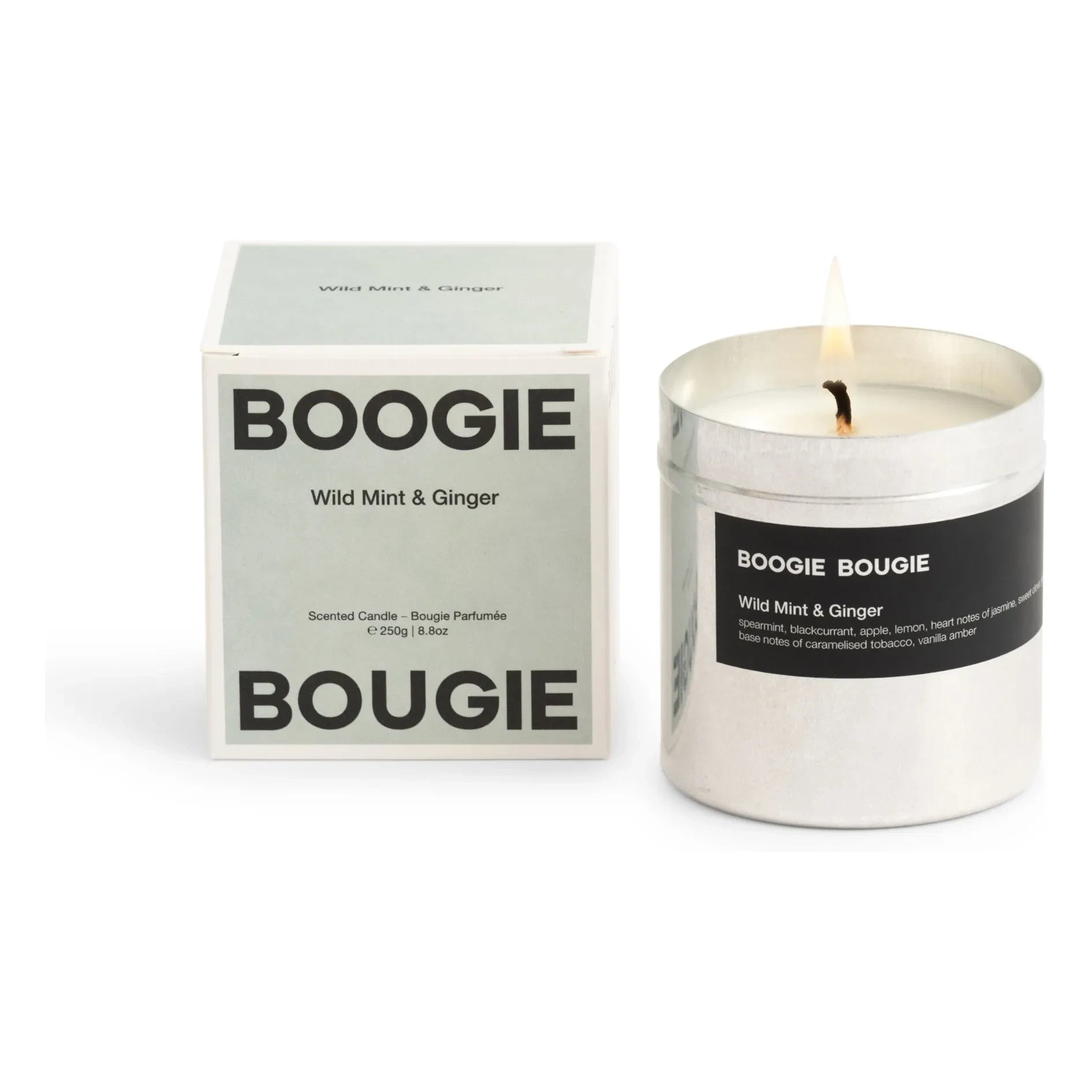 Boogie Bougie - Menta silvestre y jengibre