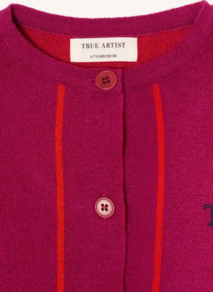 True Artist - Ex Libris Çizgili Yün Yelek | Bordo