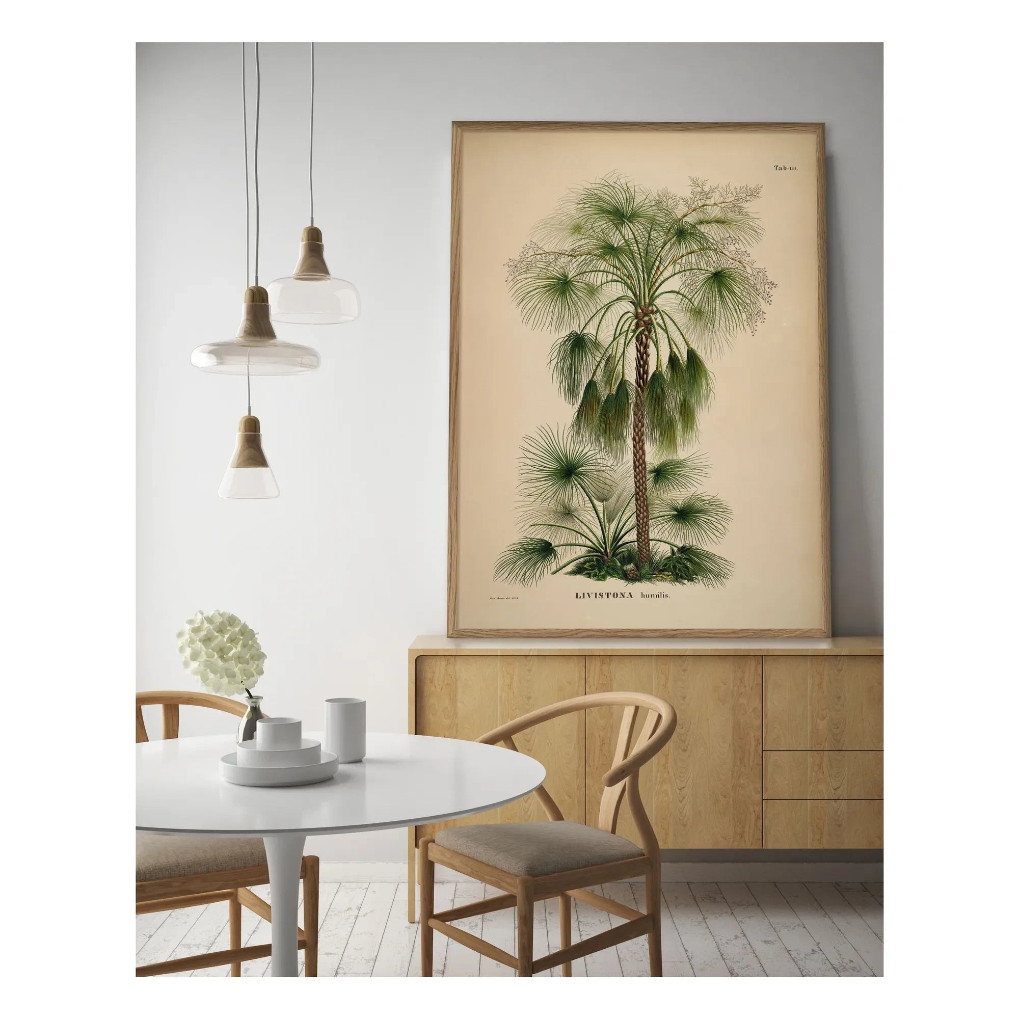 The Dybdahl Co. - Póster Livistona Humilis