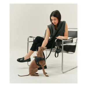 Cafide - Collar de perro de piel vegana | Negro