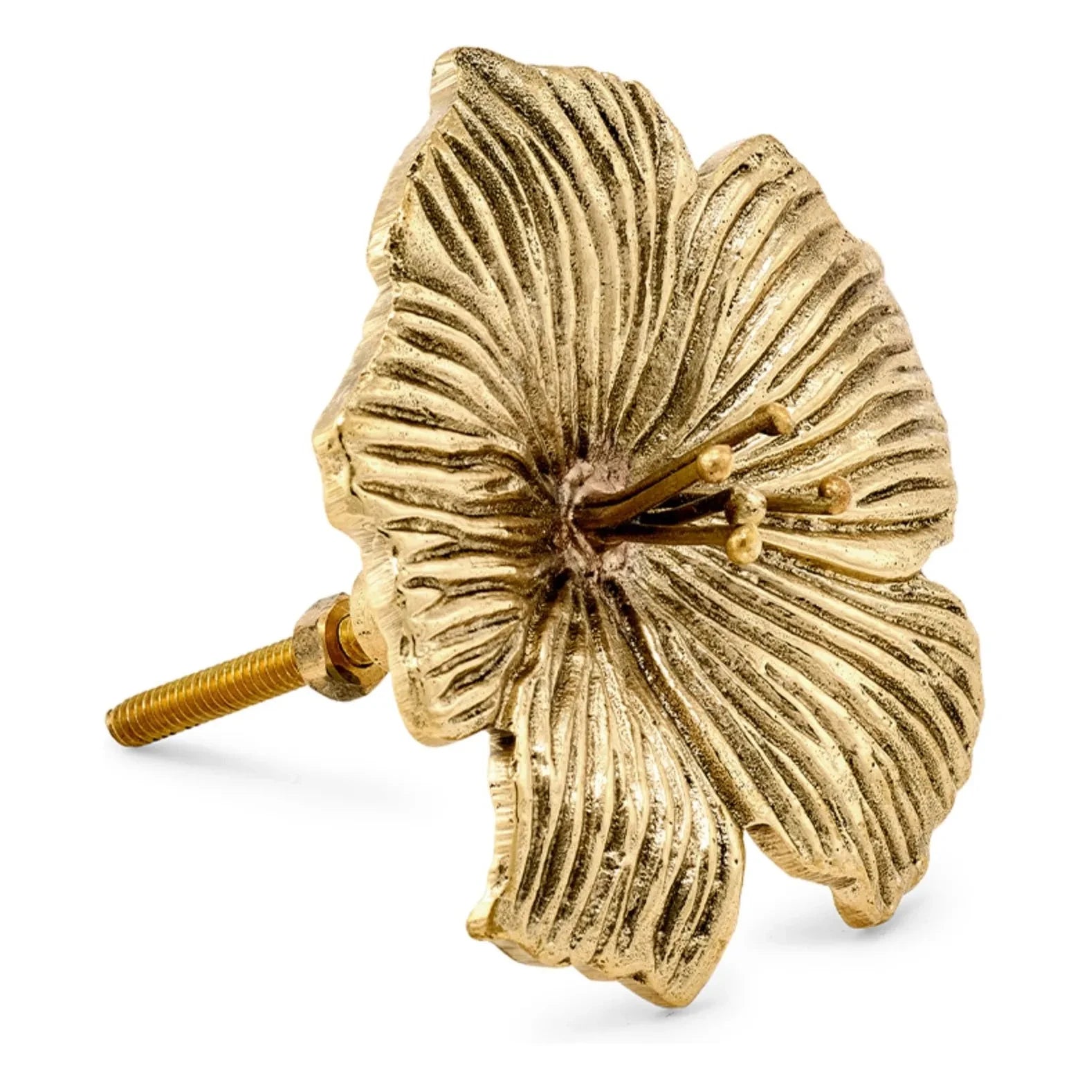 Tirador de puerta de latón Doing Goods - Hailey | Oro