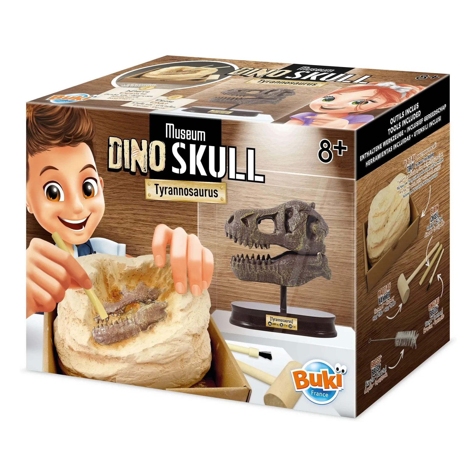 Buki - Kit de arqueología - Cráneo de dinosaurio de museo