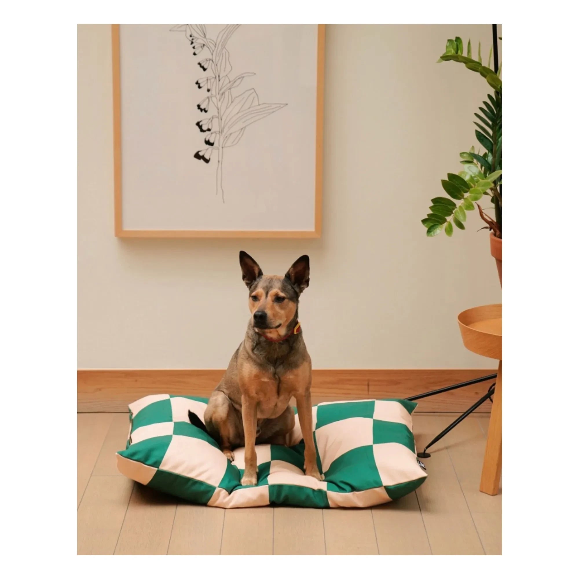 Aprobado por Fritz - Cama para perro a cuadros | Verde