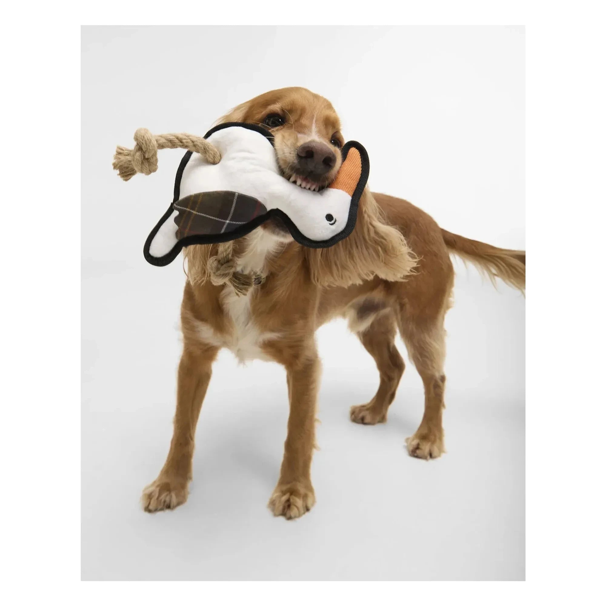 Barbour - Juguete de pájaro para perros | Blanco