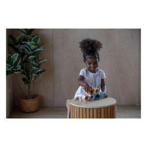 Plan Toys - Perro Teak de arrastre