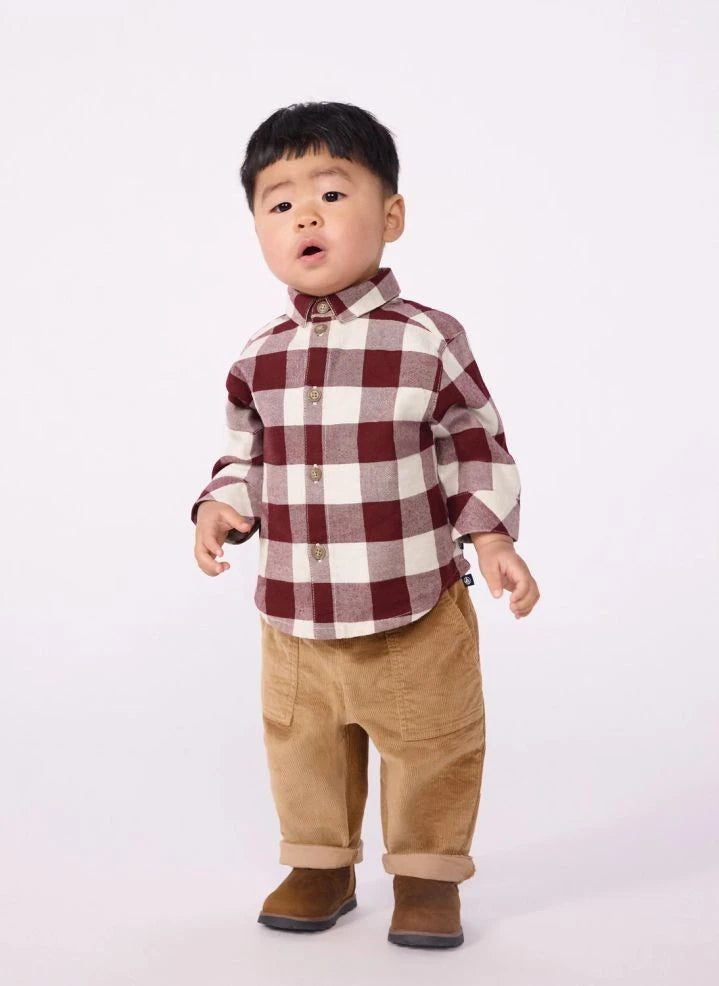 Petit Bateau - Pantalón de terciopelo de algodón orgánico | Beige