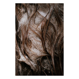 Alaena - Gel limpiador para cabello y cuerpo - 300 ml
