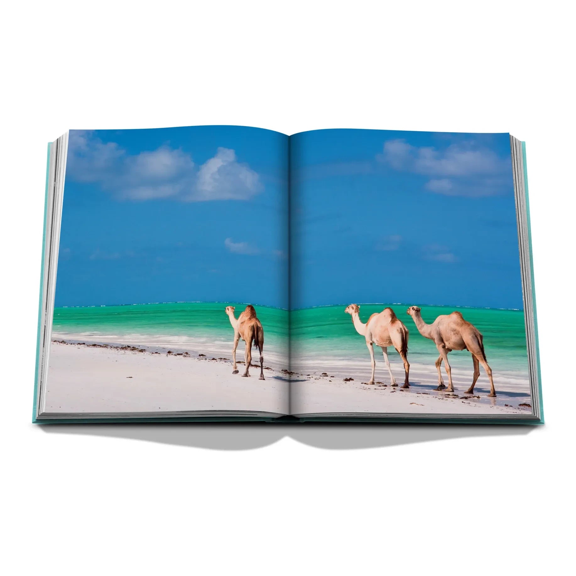 Assouline - Mar Rojo: La costa de Arabia Saudita