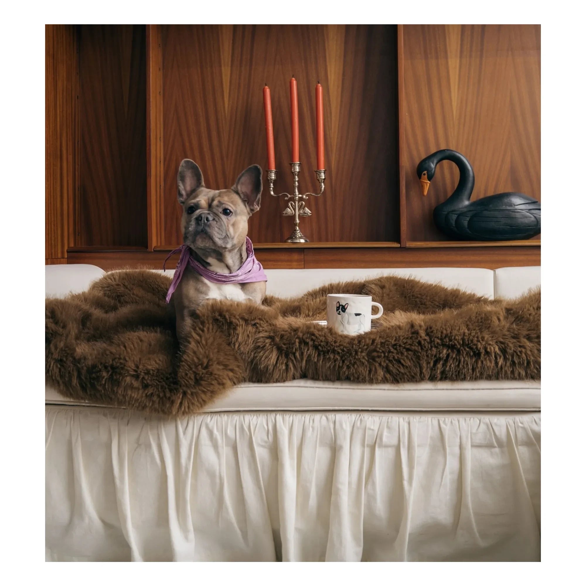 Anna + Nina - Taza Bulldog