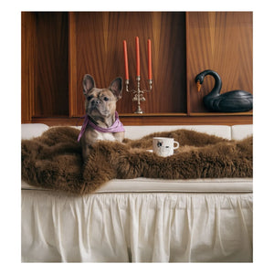 Anna + Nina - Taza Bulldog
