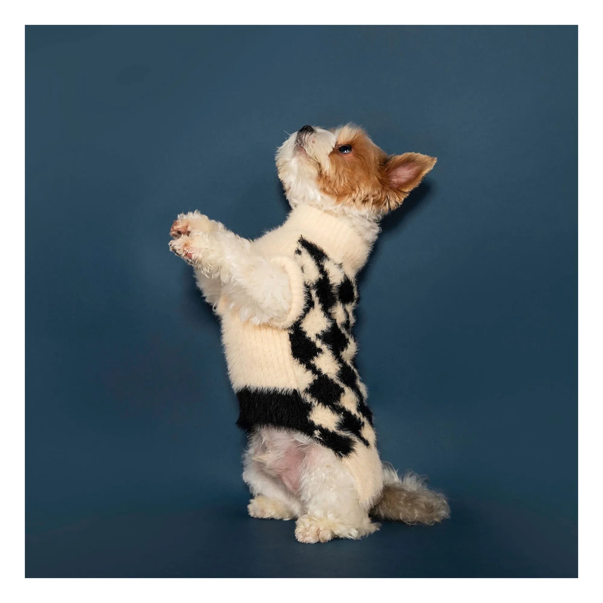 The Furry Folks - Pixmond suéter | Negro