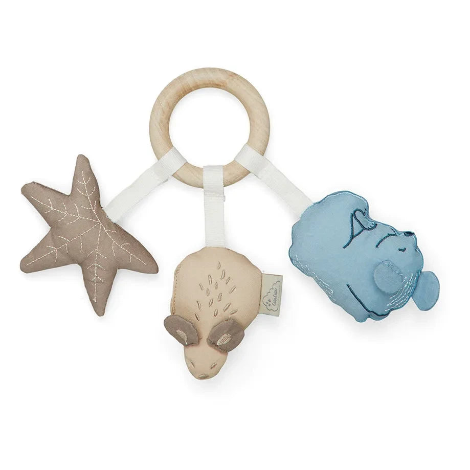 Cam Cam - Anillo de Actividades