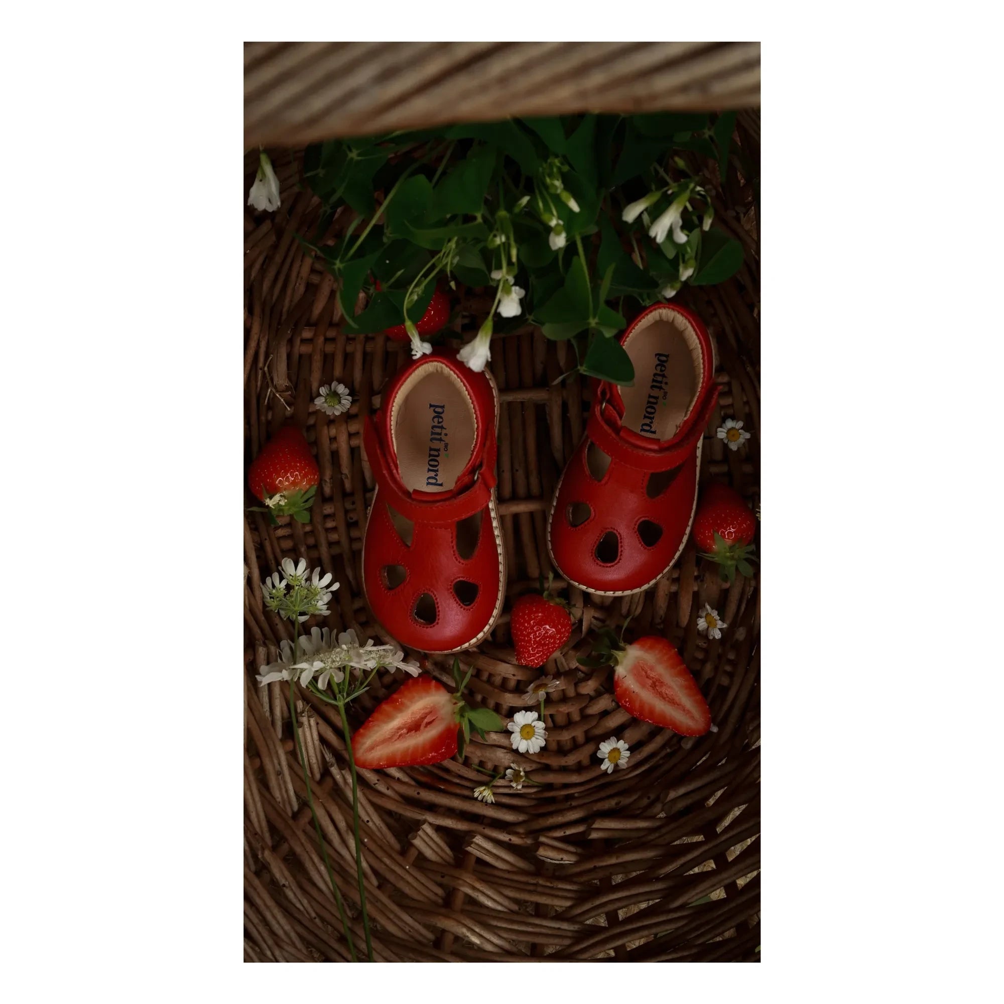 Petit Nord - Cuello en T para Bebés | Poppy