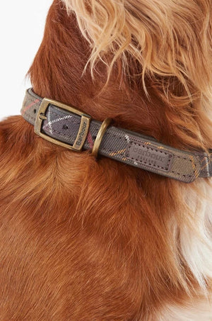Collar para mascotas Barbour