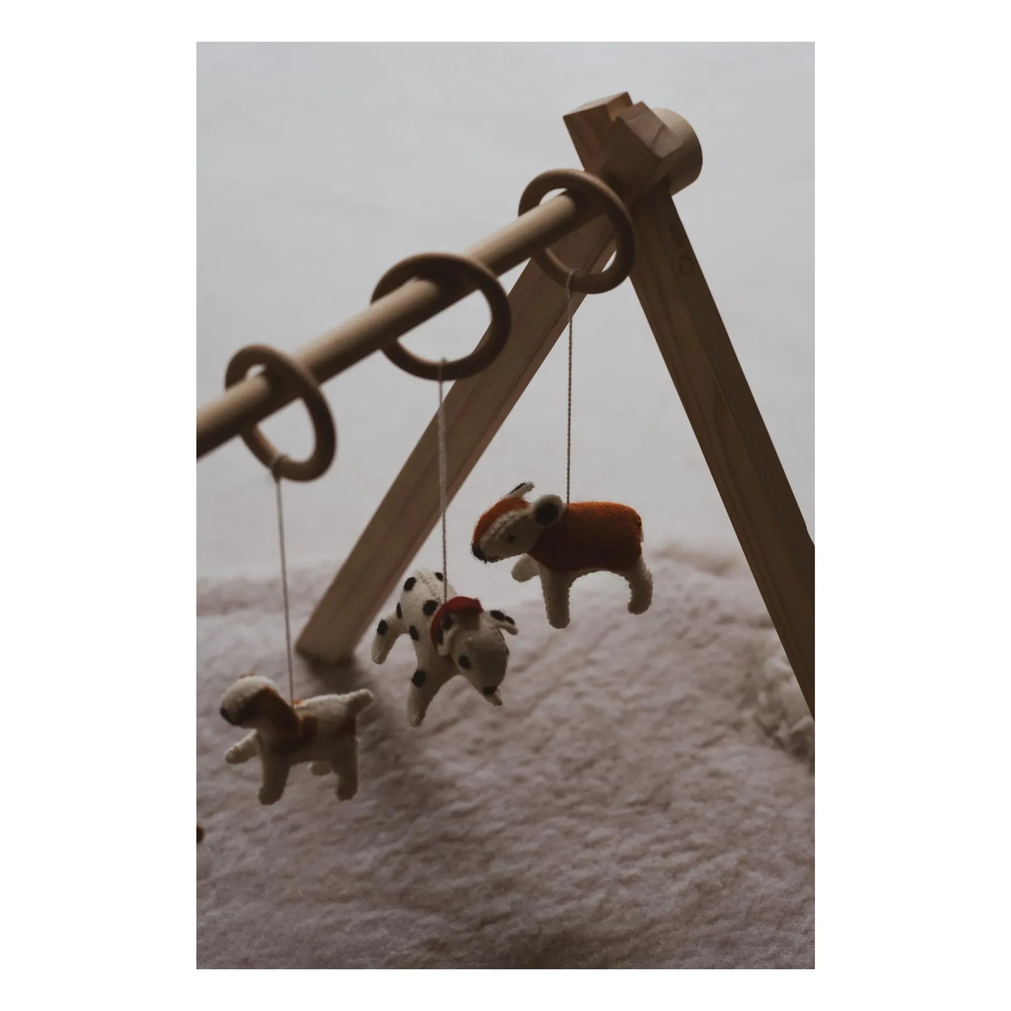 Quax - Juego de juguetes para correa de perro