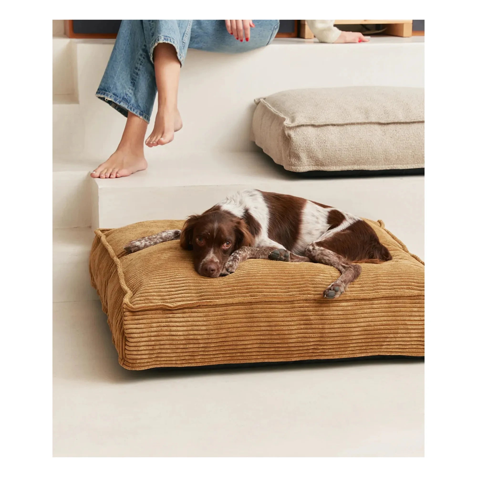 Cafide - Cama de perro de terciopelo Cuadra | Mostaza