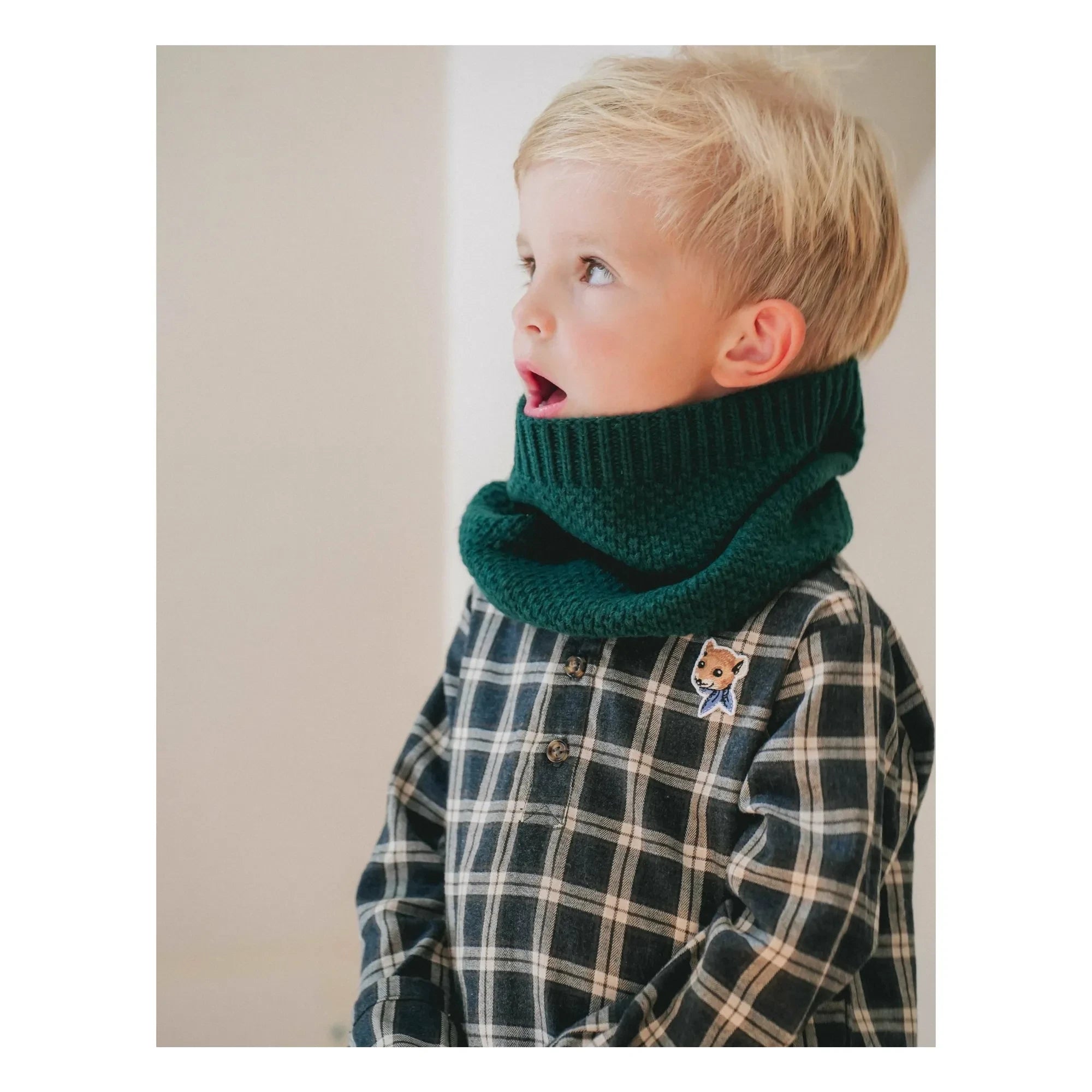 Loir - Calentador de cuello Stanislas Laine | Verde