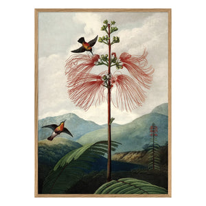 The Dybdahl Co. - Póster del árbol de las flores