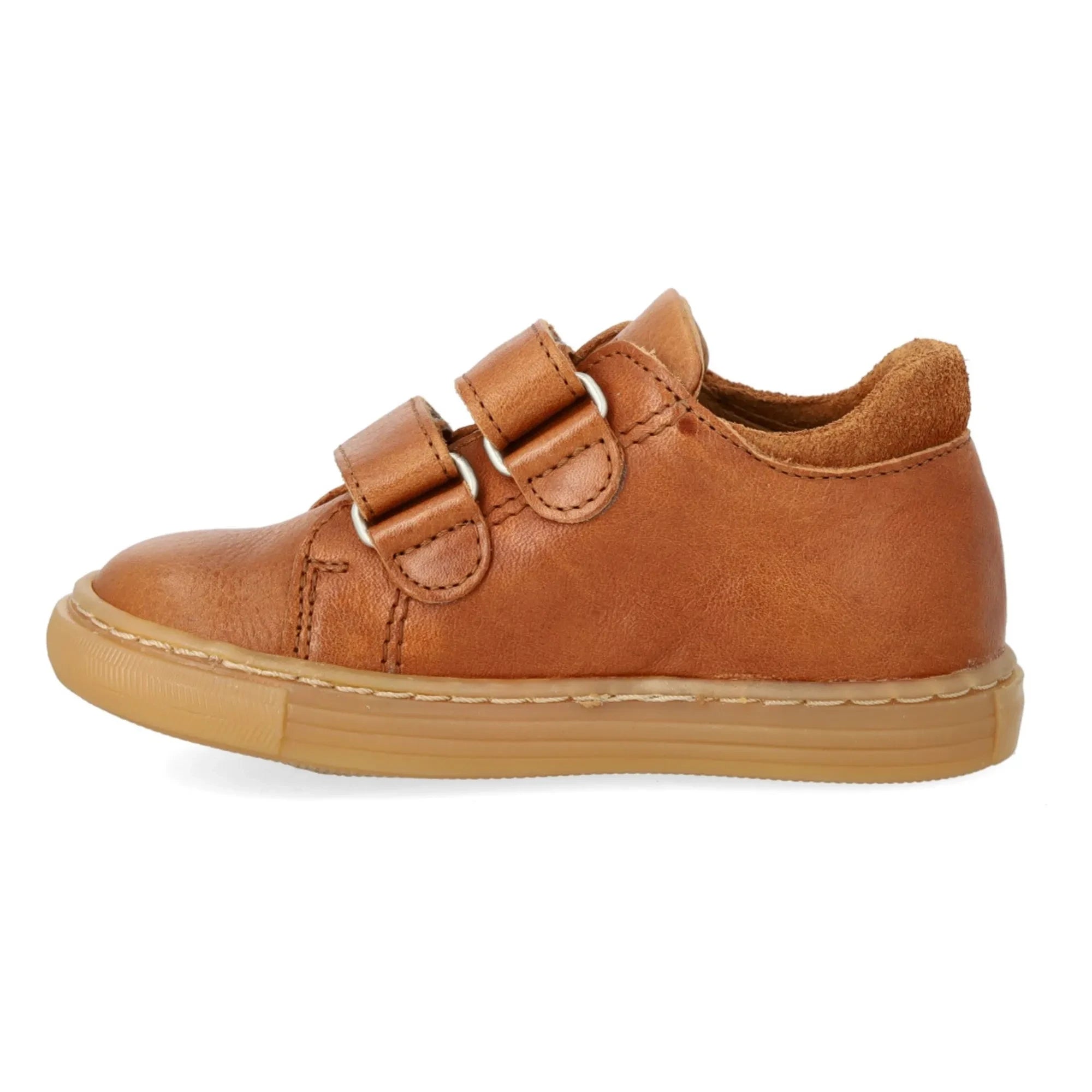 Angulus - Zapatillas Soleil Scratch | Coñac