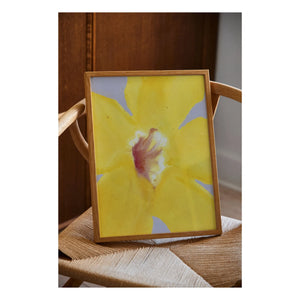 Paper Collective - In Full Bloom 01 poster, Liat Greenberg | Amarillo