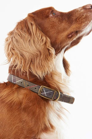 Collar para mascotas Barbour