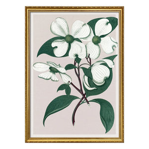 The Dybdahl Co. - Cornus Florida póster