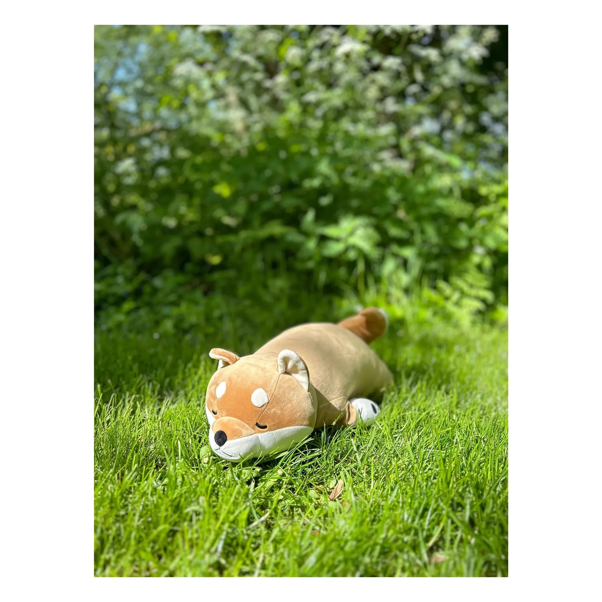 Nemu Nemu - Peluche de perro shiba inu Kotarou | Camel