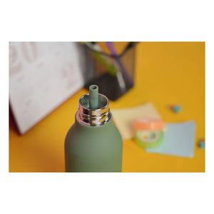 Asobu - Botella de agua de acero inoxidable Dinosaurio | Verde