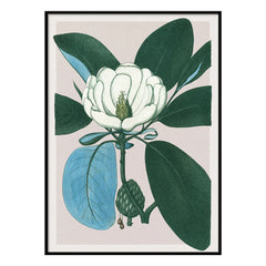 The Dybdahl Co. - Póster Magnolia Glauca