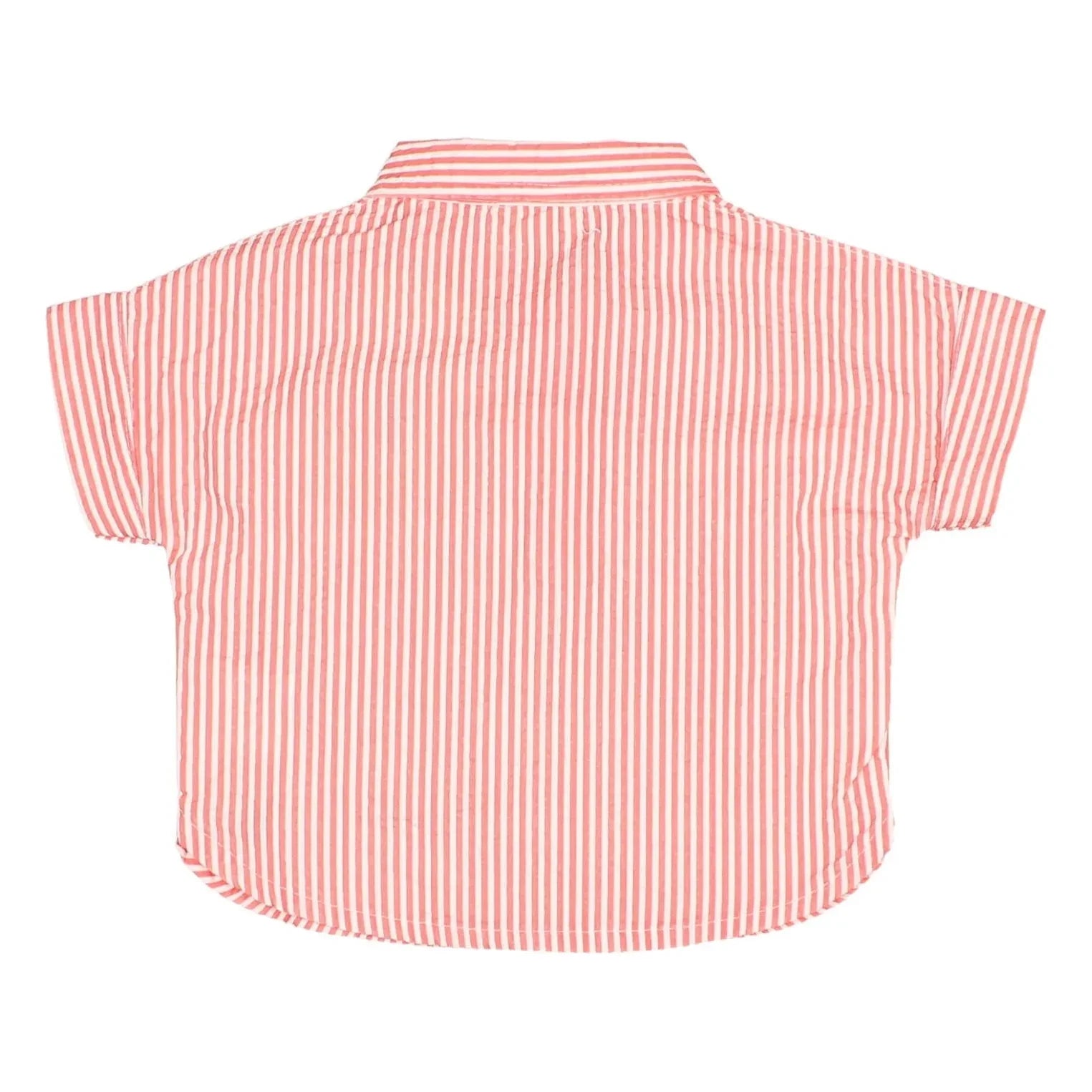Búho - Camisa de seersucker a rayas | Rojo