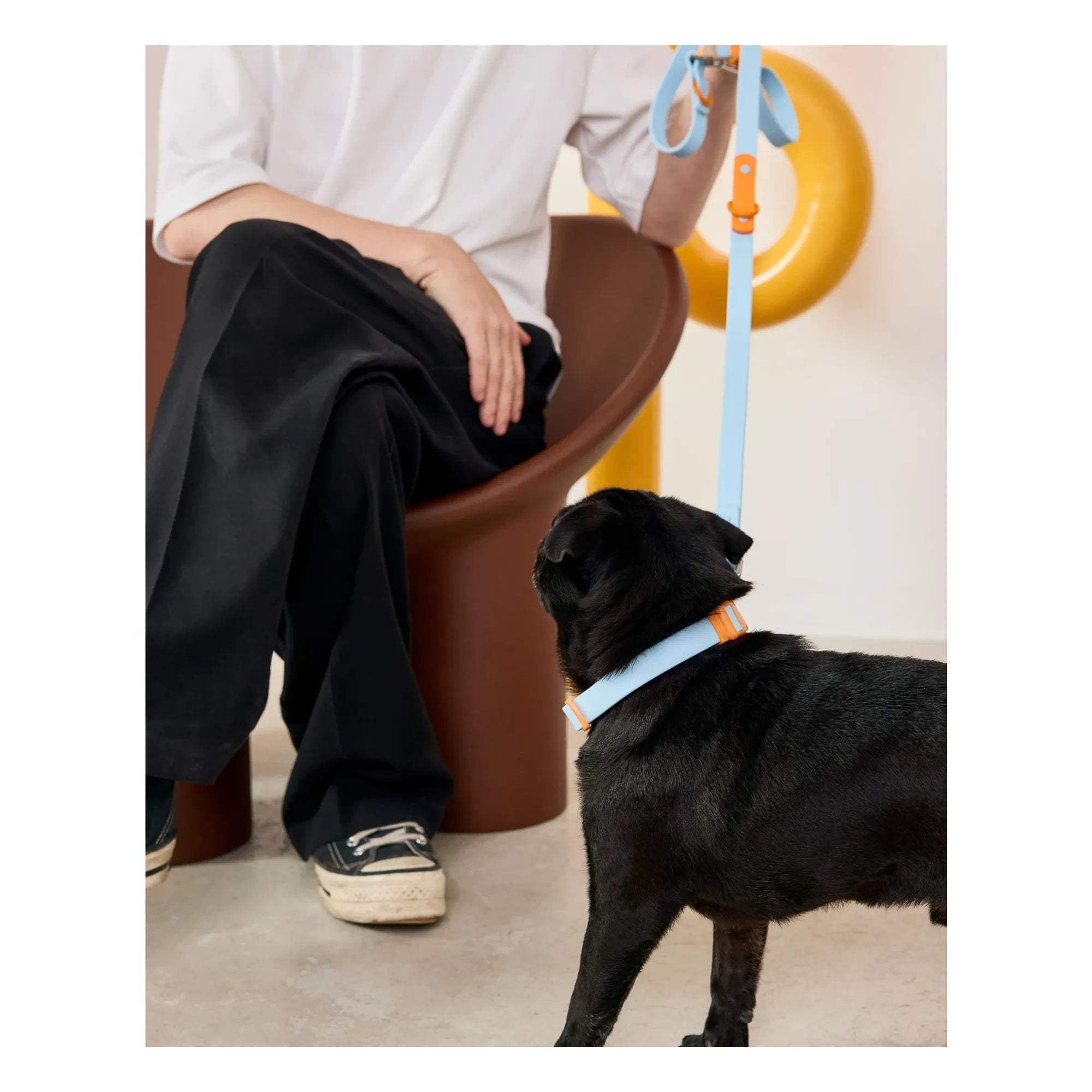 Approved by Fritz - Collar de perro | Azul claro