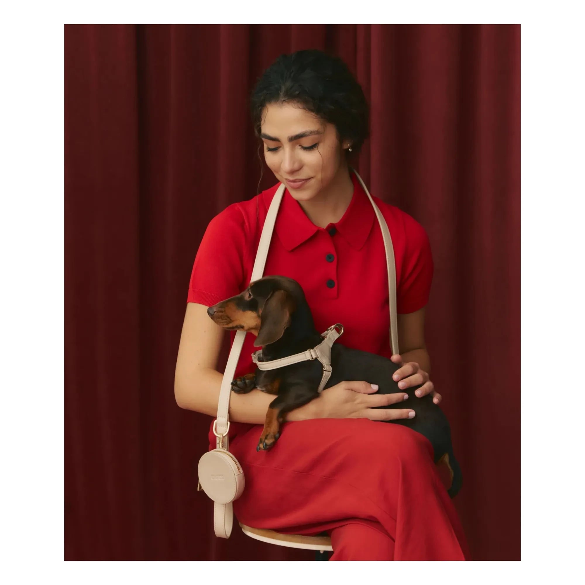 Cafide - Arnés de cuero vegano para perros | Beige