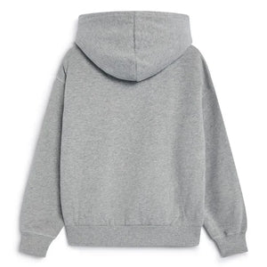 La nueva sociedad - Sudadera con capucha con el logo de TNS | Gri