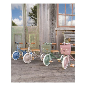 Banwood - Pin & Ride özelleştirilebilir bisiklet sepeti/çekçek | Pembe