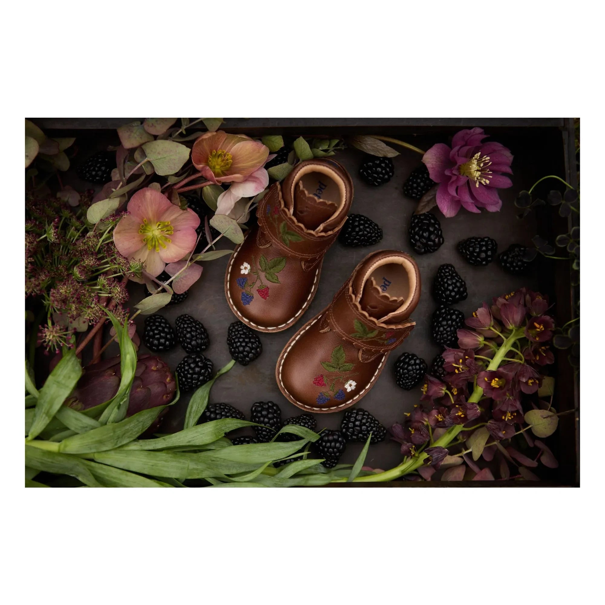 Petit Nord - Scallop Blackberries Scratch Boots - Colección Uniqua | Marrón