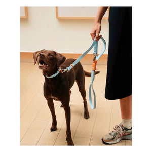 Aprobado por Fritz - Collar de perro ajustable | Azul claro