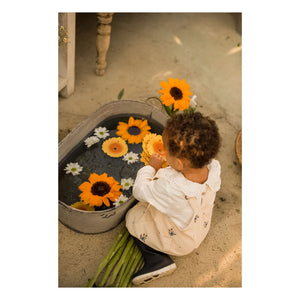 Oli & Carol - Aro mordedor Sun el girasol