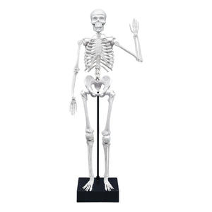 Buki - Esqueleto de 45 cm