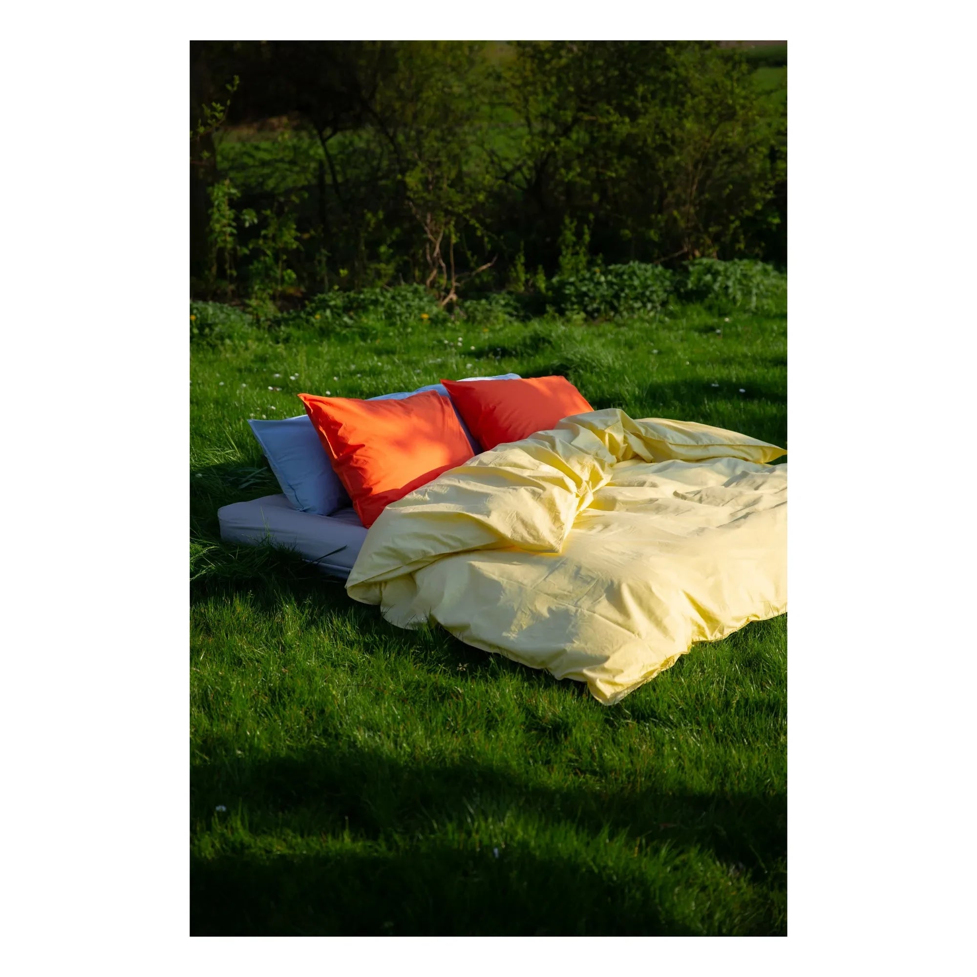 Suite 702 - Funda de almohada de percal orgánico - Naranja Amapola | Naranja