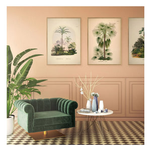 The Dybdahl Co. - Póster Livistona Humilis