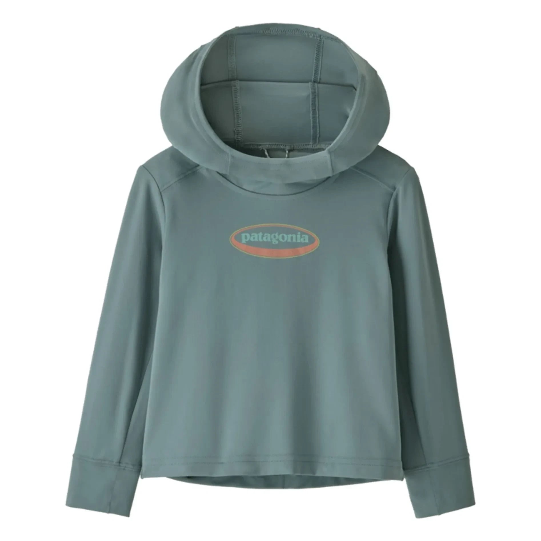 Patagonia - Sudadera con capucha SW 95 Oval Logo Fibras Recicladas | Gris azulado