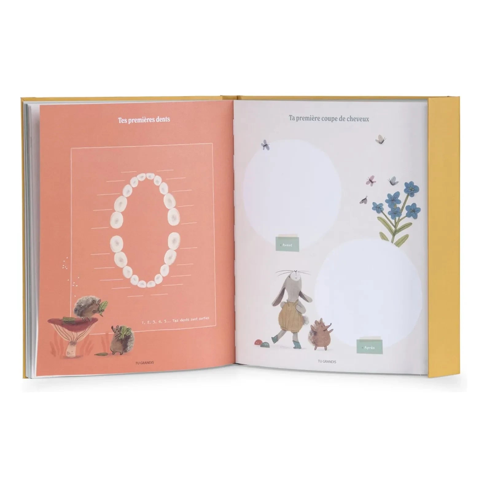 Moulin Roty - Libro de nacimiento - Trois petits lapins