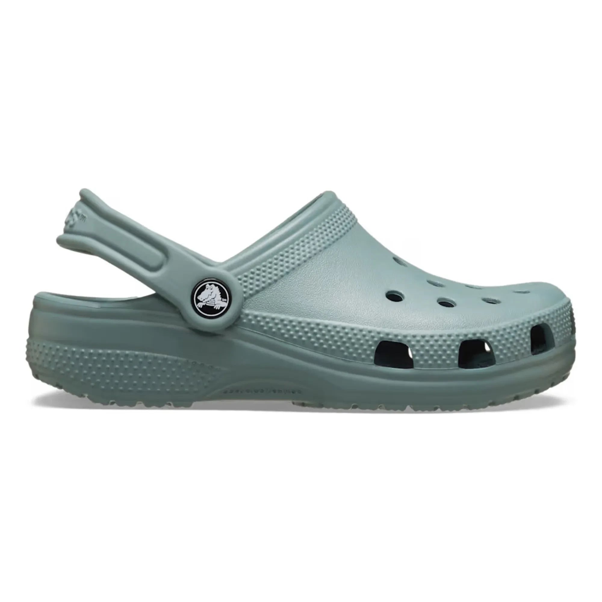 Crocs - Zueco Clásico | Verdigris