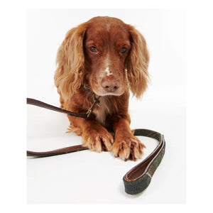 Barbour - Collar para perro de tartán | Marrón oscuro