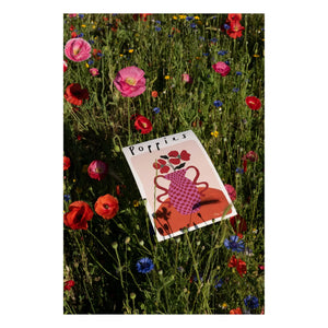 Rose England - Póster de amapolas rosas