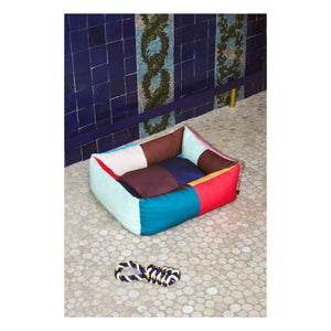 Hay - Cama para perro