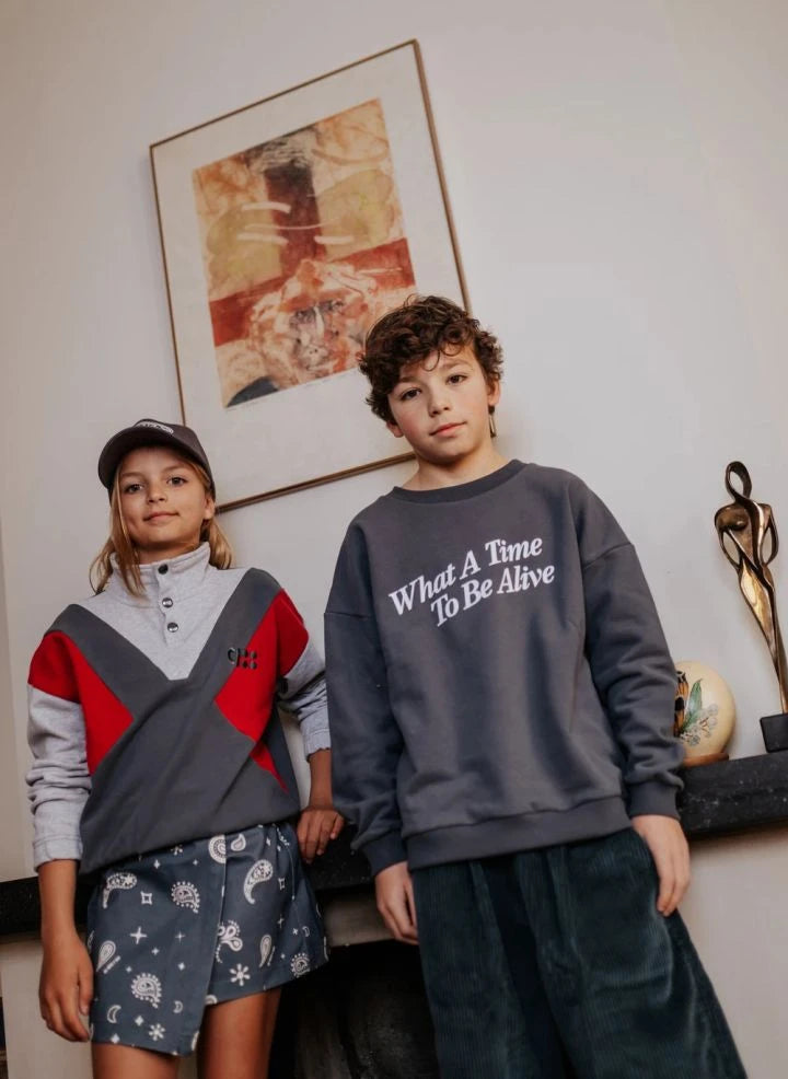Cos I Said So - "What A Time" Sudadera de algodón orgánico | Gris
