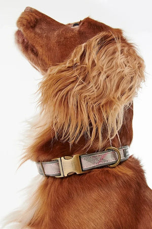 Correa para perros Barbour